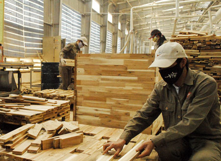 Chế biến vật liệu làm tủ bếp gỗ